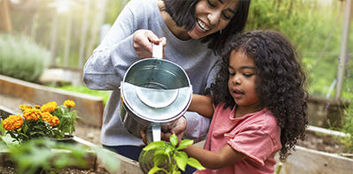 Success Story: Farm to ECE Summits