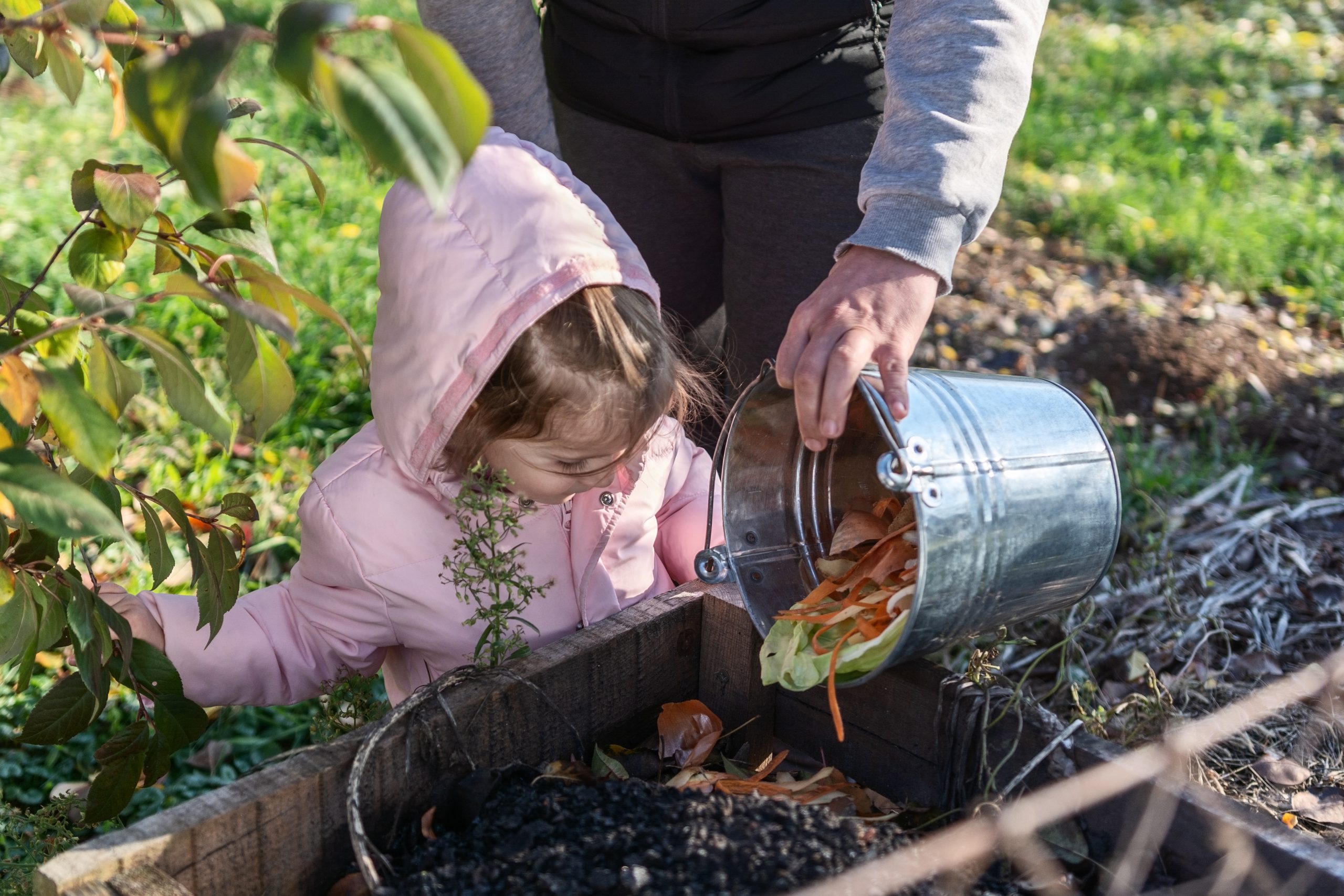 Growing Farm to Early Care and Education (ECE) in Maine