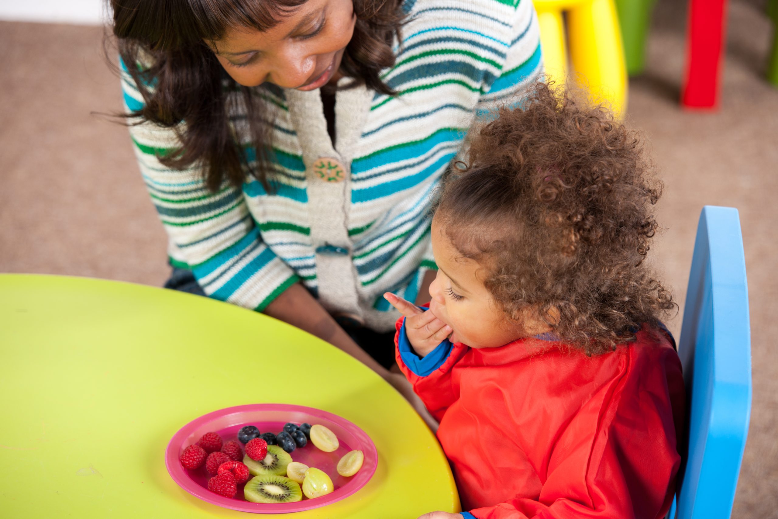 Virginia Child and Adult Care Food Program Food Bank Pilot Purchasing Project